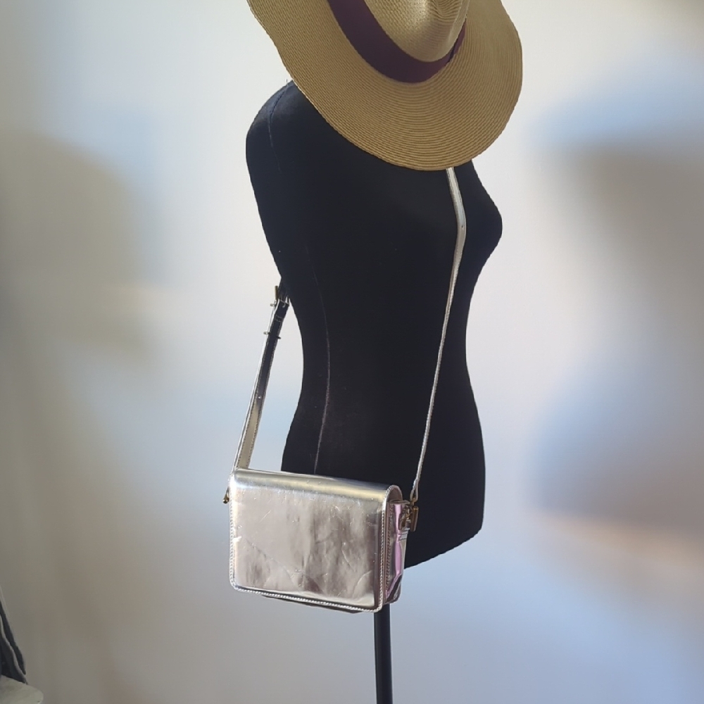 Madewell Silver Crossbody Bag - Picture 2 of 10